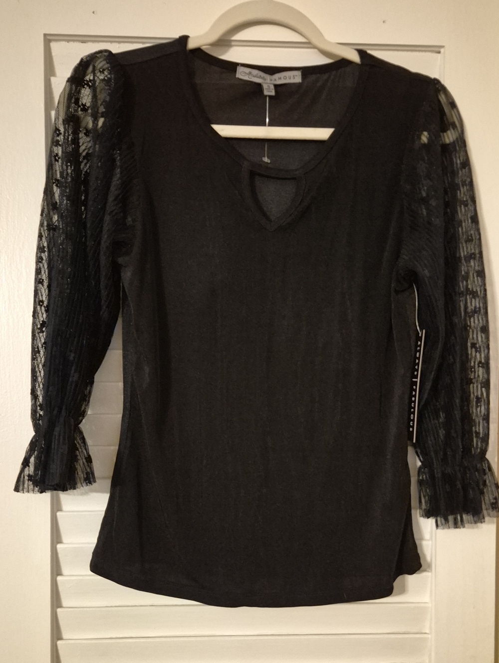 Absolutely Famous Black Sheer Pleated Sleeve Top